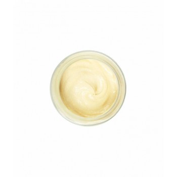 gommage visage doux à la figue de barbarie exfoliant gommage visage doux à la figue de barbarie exfoliant